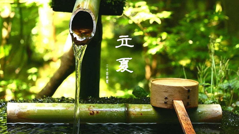 立夏|春意藏，夏初長