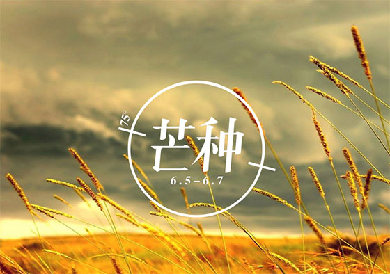 芒種丨你在歲月奔忙的模樣，值得被大地犒賞