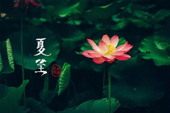 夏至|愿所有期許，如約而至