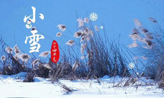 今日小雪丨天地初寒，愿歲月安暖
